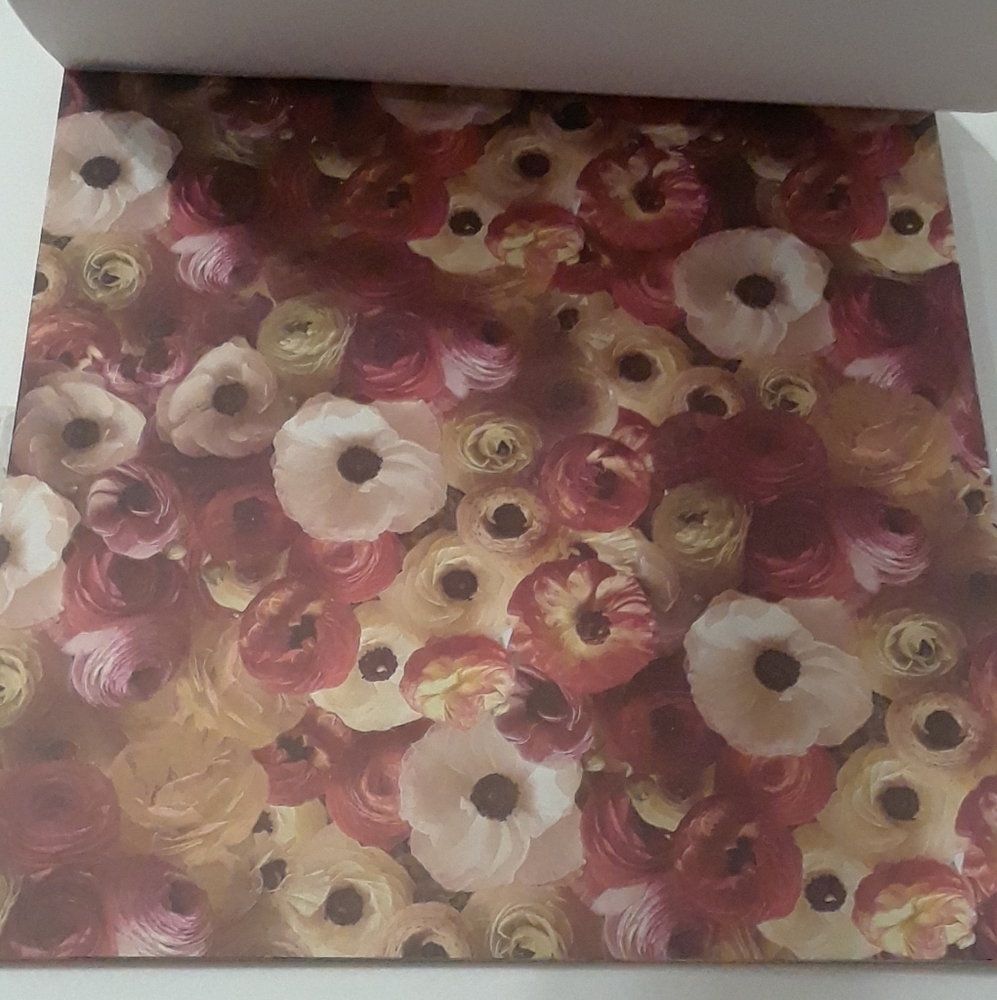 Colorbok 68lb Designer Single-Sided Paper - Picture 7 of 12